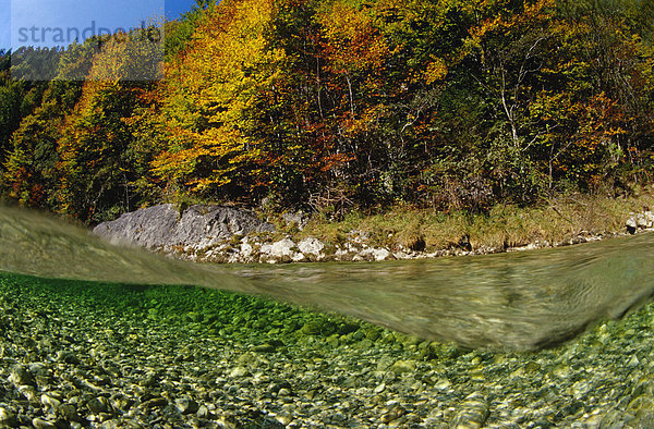 Herbsttag am Reichramingbach  Nationalpark Kalkalpen  Oberösterreich  Österreich  Europa