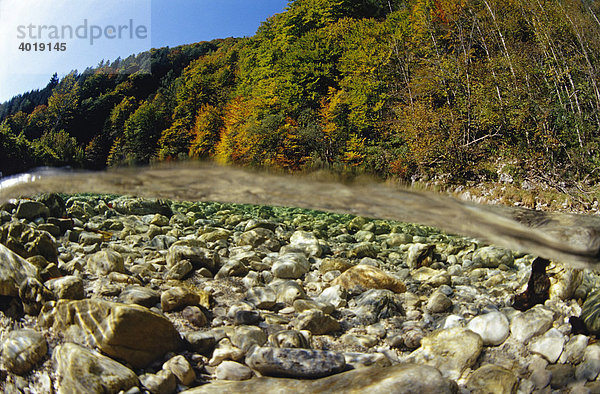 Herbsttag am Reichramingbach  Nationalpark Kalkalpen  Oberösterreich  Österreich  Europa