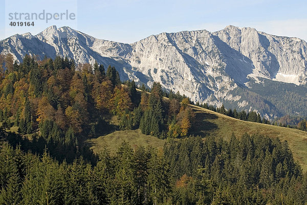 Hoher Nock  Nationalpark Kalkalpen  Oberösterreich  Österreich  Europa