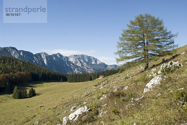 Schaumberg  Nationalpark Kalkalpen  Oberösterreich  Österreich  Europa