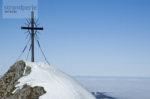 Das Gipfelkreuz des Steinernen Jäger in den Voralpen bei Reichraming im Winter  Oberösterreich  Österreich  Europa