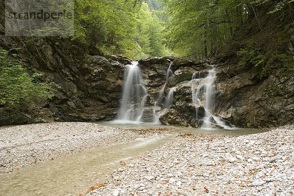 Herbstlicher Wasserfall  Nationalpark Kalkalpen  Oberösterreich  Österreich  Europa