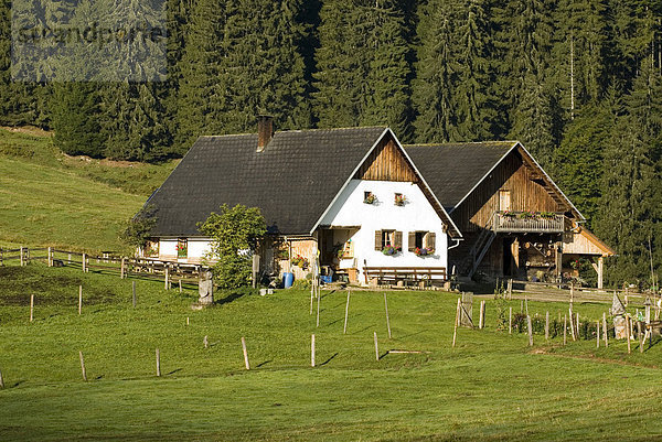 Almhütte Ebenforst im Nationalpark Kalkalpen  Nationalpark Kalkalpen  Oberösterreich  Österreich  Europa