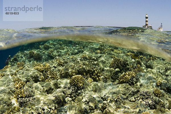 Daedalus Reef mit Leuchtturm Daedalus  Rotes Meer  Ägypten  Afrika