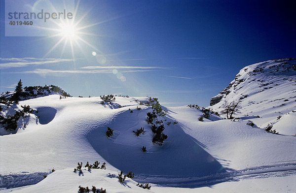Verschneite Landschaft mit Sonne  Spital am Phyrn  Oberösterreich  Österreich  Europa