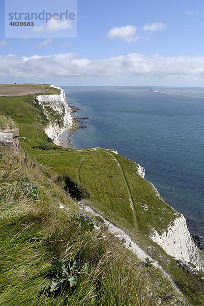 Kreidefelsen von Dover  Dover  England  Großbritannien  Europa