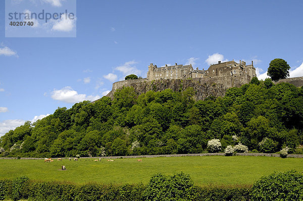 Stirling Castle  Stirling  Schottland  Großbritannien  Europa