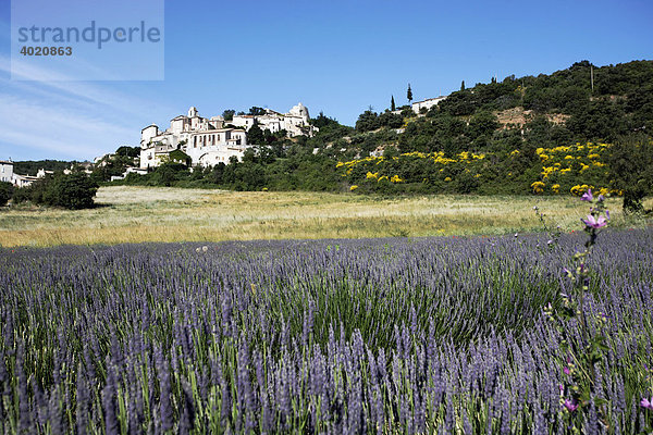 Lavendelfeld mit Blick auf das Bergdorf Simiane la Rotonde  Provence  Frankreich  Europa