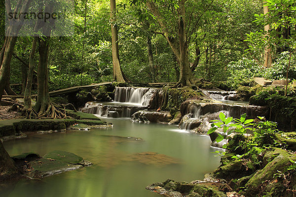 Wald  Wasserfall  Than Bok Khorani National Park bei Krabi  Thailand  Asien