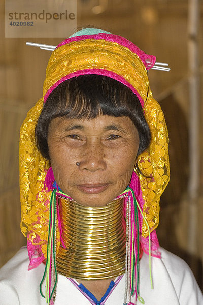 Eine Frau der Padaung Karen  Giraffenfrauen oder Long Necks genannt  in der Provinz Mae Hong Son  Nordthailand  Asien