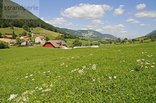 Wiesen  Berge  Bauernhof  bäuerliche Landschaft bei Moutier  Schweiz  Schweizer Jura  Kanton Bern  Schweiz  Europa Kanton Bern