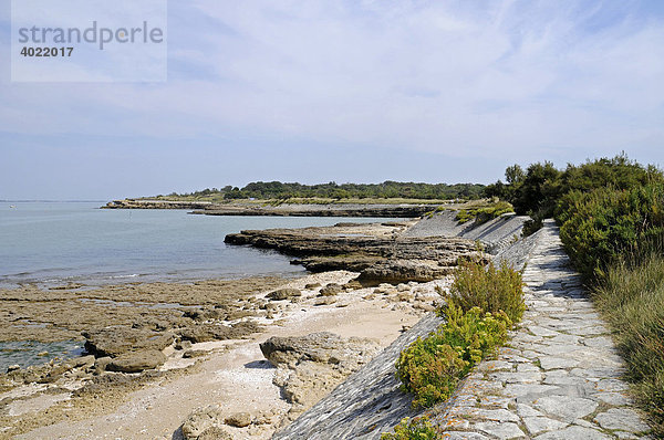 Küste  Landschaft  Insel Ile d'Aix  Poitou Charentes  Frankreich  Europa