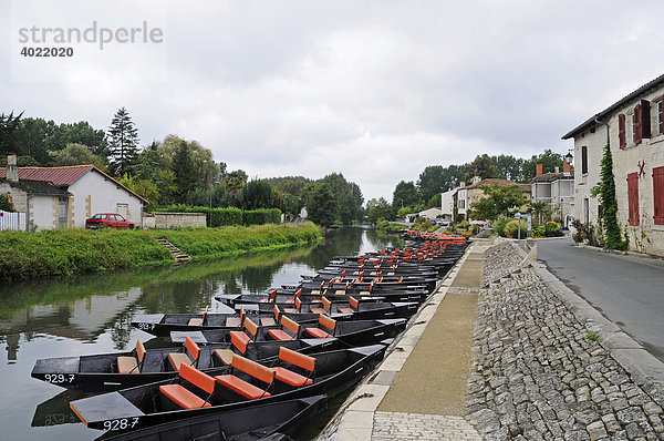 Boote  Marais Poitevin  Fluss und Sumpfgebiet  Coulon  Poitou Charentes  Frankreich  Europa
