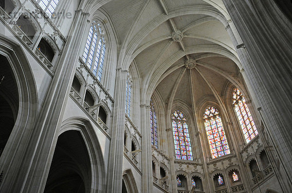 Deckengewölbe  Kathedrale Saint Pierre und Saint Paul  Nantes  Pays de la Loire  Frankreich  Europa