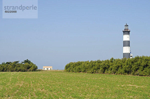 Haus  Leuchtturm  Landschaft  Insel Ile d'Oleron  Poitou Charentes  Frankreich  Europa
