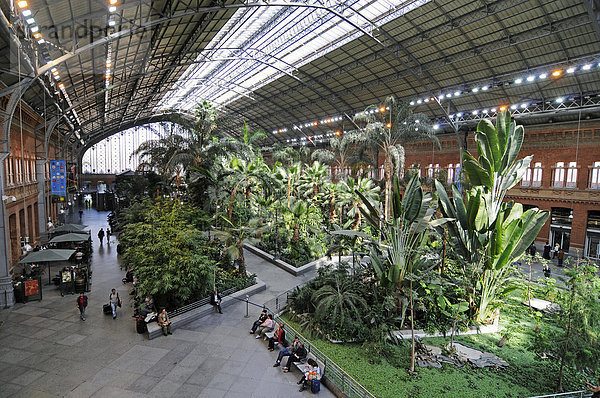 Tropischer Garten  Wartehalle  Bahnhofshalle  Bahnhof Atocha  Madrid  Spanien  Europa
