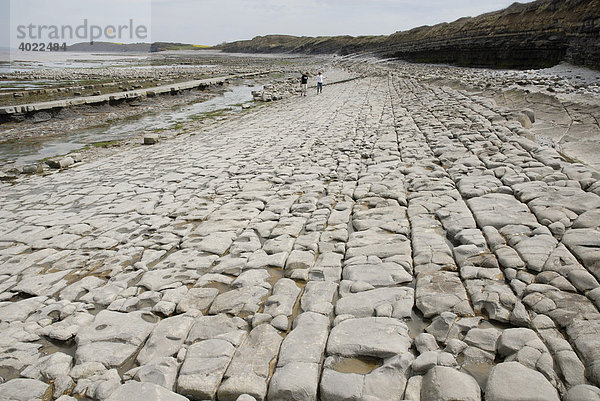 Steinformationen am Strand  Fossilienvorkommen  zwei Personen  Kilve  Somerset  England  Großbritannien  Europa
