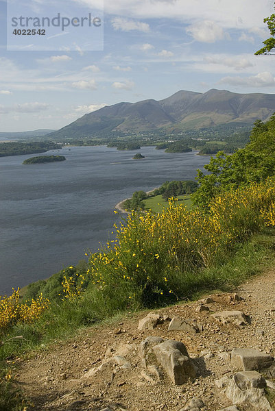 Aussichtspunkt Surprise View   Derwent Water  Derwentwater  Lake District  Cumbria  Nord England  Großbritannien  Europa