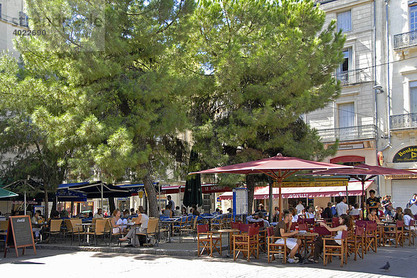 Lokal  Gastgarten unter Baum  Personen  Altstadt  Montpellier  Languedoc-Roussillon  Frankreich  Europa