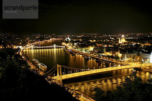 Panorama Elisabethbrücke und Kettenbrücke  Nachtaufnahme vom Gellértberg  Budapest  Ungarn  Europa