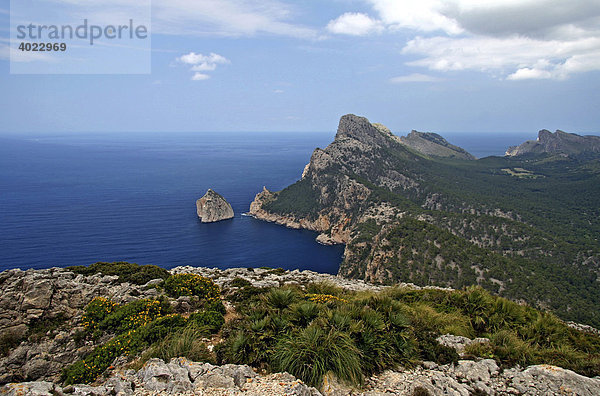 Blick auf das Cap de Formentor und die kleine Insel Colomer  Mallorca  Balearen  Spanien  Europa