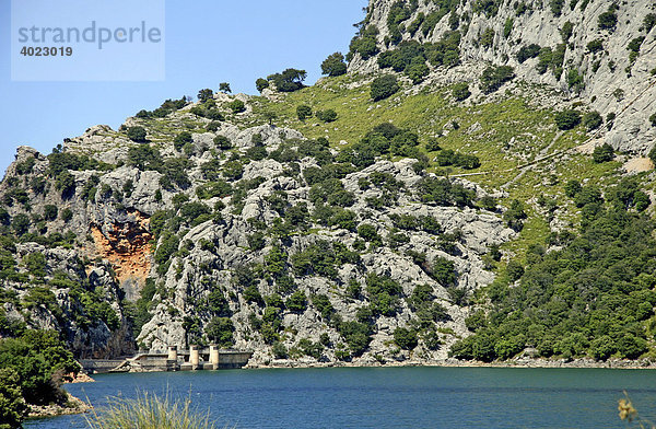 Süßwassersee Gorg Blau  Damm  Naturschutzgebiet  Mallorca  Balearen  Spanien  Europa
