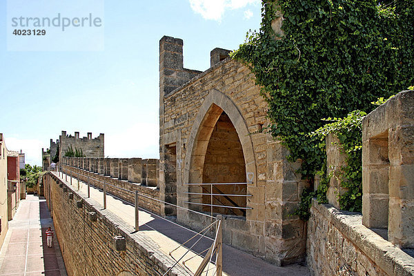 Stadtmauer  Altstadt  Alcudia  Mallorca  Balearen  Spanien  Europa