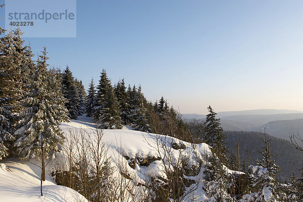 Hahnenkleeklippen  Nationalpark Harz  Deutschland  Europa