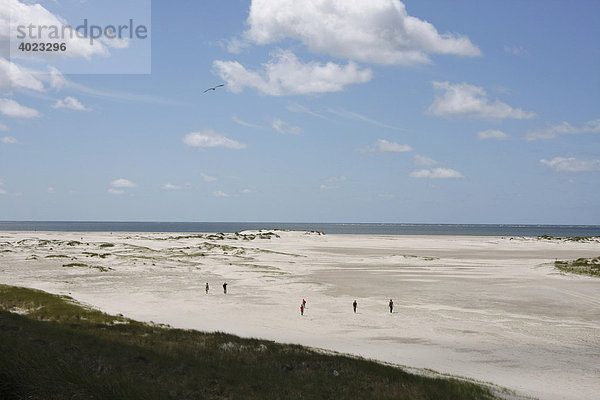 Sandstrand  Kniepsand  Nordsee  Insel Amrum  Schleswig-Holstein  Deutschland  Europa
