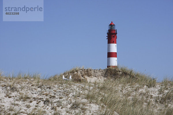 Leuchtturm auf der Nordseeinsel Amrum  Insel Amrum  Schleswig-Holstein  Deutschland  Europa