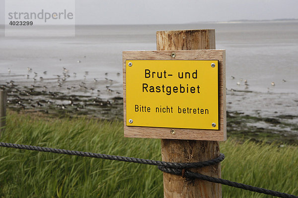 Schild Naturschutzgebiet  Vogelschutzzone  Wattseite  Insel Amrum  Schleswig-Holstein  Deutschland  Europa