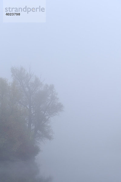 Weiher im Herbst im Nebel