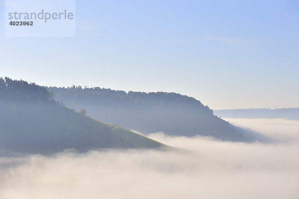 Korber Kopf und Kleinheppacher Kopf im Nebel  Remstal  Baden-Württemberg  Deutschland  Europa