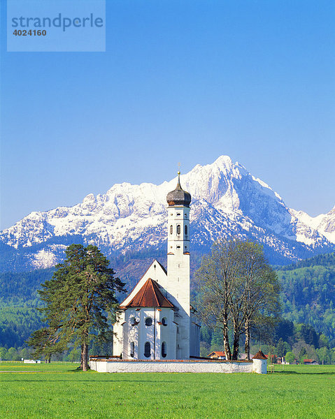 Wallfahrtskirche St.Coloman bei Füssen  Thannheimer Berge  Frühling  Ostallgäu  Allgäu  Bayern  Deutschland  Europa