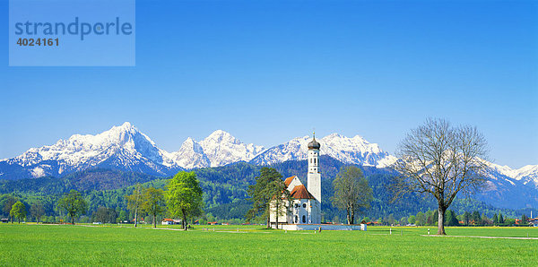 Wallfahrtskirche St.Coloman bei Füssen  Thannheimer Berge  Frühling  Ostallgäu  Allgäu  Bayern  Deutschland  Europa