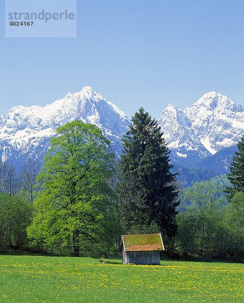 Landschaft bei Füssen  Thannheimer Berge  Frühling  Ostallgäu  Allgäu  Bayern  Deutschland  Europa