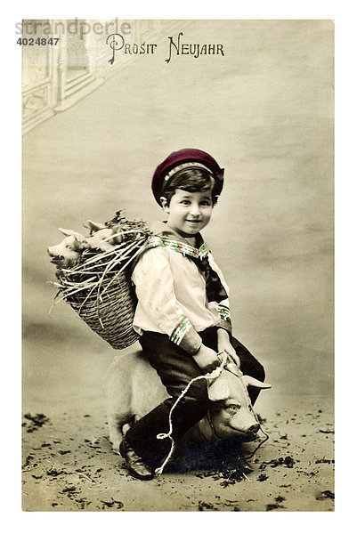 Historische Neujahrsgrußkarte  Junge auf Glücksschwein reitend  mit Korb mit kleinen Ferkeln auf dem Rücken  Prosit Neujahr