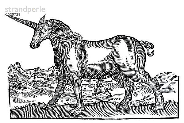 Holzschnitt  Einhorn  Conrad Gesner  Historia animalium  1551  Renaissance