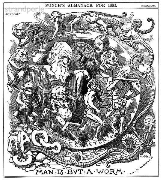 Karikatur von Charles Darwins Theorie im Punch Almanac für 1882  nach Veröffentlichung seines Buches The Formation of Vegetable Mould Through the Action of Worms