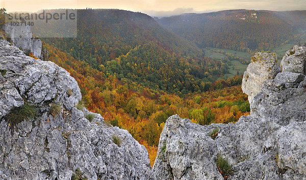 Felsszenerie und Neidlinger-Tal  Herbst  Schwäbische Alb  Baden-Württemberg  Deutschland  Europa