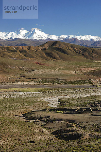 Altiplano  Bolivien  Südamerika