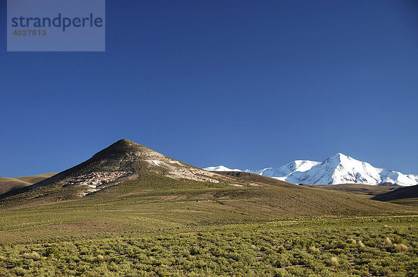 Altiplano  Bolivien  Südamerika