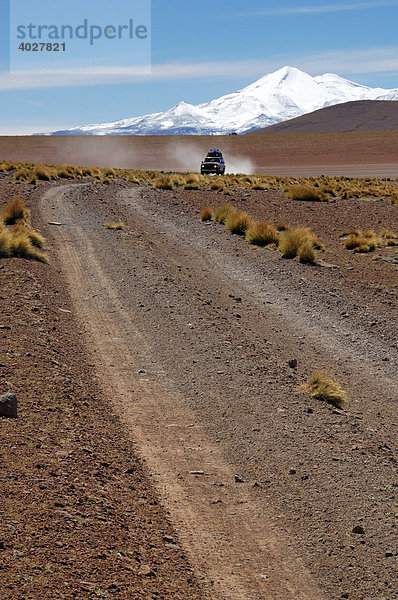 Altiplano  Bolivien  Südamerika