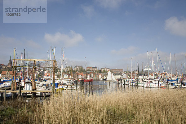 Gestell zum Trocknen von Fischreusen  Segelhafen in der Innenförde  Flensburg  Schleswig-Holstein  Deutschland  Europa