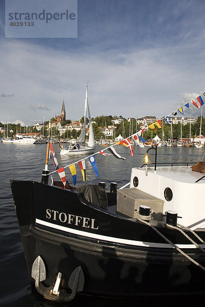 Segelboot  Innenförde  Seglertreffen Flensburg Nautics  Flensburg  Schleswig-Holstein  Deutschland  Europa