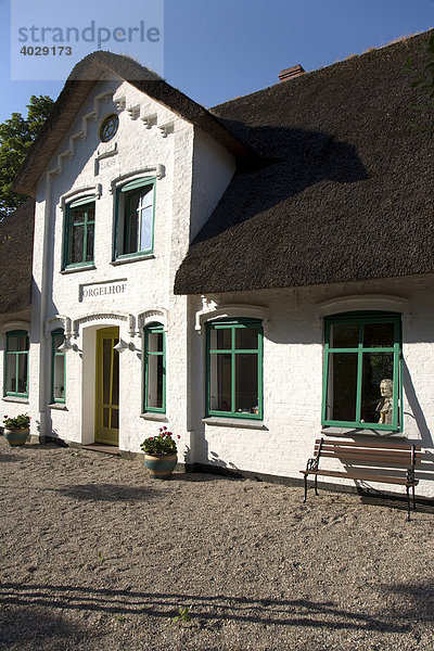 Restaurierter Bauernhof  Orgelhof Goldelund  Nordfriesland  Schleswig-Holstein  Deutschland  Europa