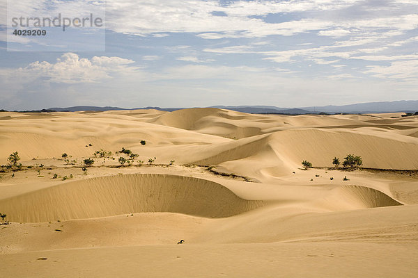 Sandwüste auf dem Istmus de Medanos  Halbinsel Paraguana  Venezuela  Südamerika