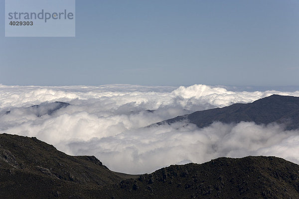 Über den Wolken am Paso del Cóndor  höchster Pass Venezuelas in 4118m Höhe  Anden  Venezuela  Südamerika