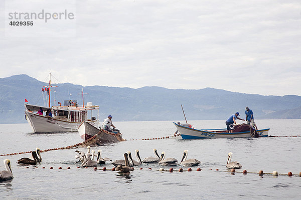 Fischerboote  Fischfang  Sardinen  Santa Fe  Karibik  Venezula  Südamerika