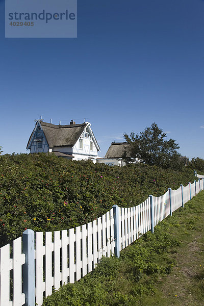Häuser auf dem Graswarder  Heiligenhafen  Ostsee  Schleswig-Holstein  Norddeutschland  Deutschland  Europa